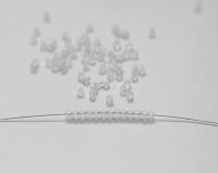 3mm Crystal MATT Swarovski Bicone beads Cuts 72/144/432/1000 Pieces (001) Jewelry findings, embroidery materials, jewelry making, rare beads