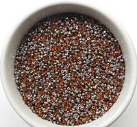 11/0 Charlotte true Cut Beads Patina Transparent Light Orange Silver 10/20/50/250/500 Grams