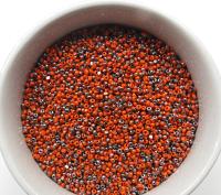 11/0 Charlotte true Cut Beads Patina Opaque Orange Gun Metal 10/20/50/250/500 Grams 1300 Pieces faceted seed beads