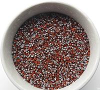 11/0 Charlotte true Cut Beads Patina Orange transparent Silver 10/20/50/250/500 Grams 1300 Pieces