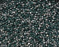 11/0 Charlotte true Cut Beads Patina Opaque Emerald Silver 10/20/50/250/500 Grams