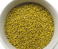 11/0 Charlotte true Cut Beads Ionized Yellow Opaque 10/20/50/250/500 Grams rare supplies jewelry