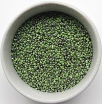 11/0 Charlotte Cut Beads Patina Opaque Light Green Gun Metal 10/20/50/250/500 Grams rare vinatge beads, shaded beads, two tone rare beads