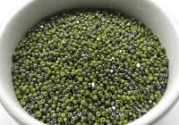 11/0 Charlotte true Cut Beads Patina Opaque Olivine Gun Metal 10/20/50/250/500 Grams 1300 Pieces embroidery materials, jewelry making