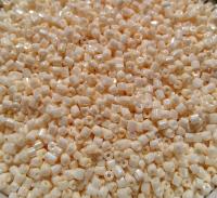 10/0 2 Cuts Cream Shell Opaque Luster Seed Beads Vintage Czech Beads 50/100/500 Grams