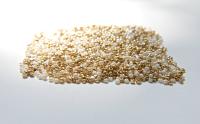 11/0 True Cut Charlotte Beads IVORY Gold Patina 10/20/50/250/500 Grams Native Beads Supply