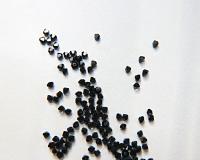 3mm Jet Black Swarovski Bicone Beads 36/72/144/432/720 Pieces (280) Jewelry findings, embroidery materials, jewelry making, craft supplies