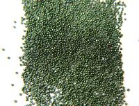13/0 Charlotte Cut Beads Metallic Fern Green 5/10/20/50/250/500 Grams craft supplies, jewelry making, embroidery materials, vintage beads