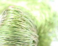 LIGHT OLIVINE Metallic French Wire, Bullion Wire, Gimp Wire 50/100/200/400 Grams, Embroidery Haute Couture materials