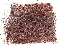 13/0 Charlotte Cut Beads Raspberry Dark Metallic 5/10/20/50/250/500 Grams craft supplies, jewelry making, embroidery materials, vintage