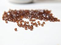Smoked Topaz (2.5mm) Swarovski Bicone Xillion Cuts Beads 36/72/144/432/1000 Pieces (259) 5328 embellishments couture, jewelry making, rare