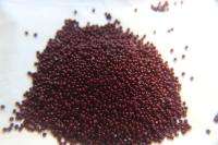 11/0 Charlotte true Cut Beads 2MM Opaque Chocolate Brown 10/20/50/250/500 Grams jewelry supply, findings, craft supply, vintage beads, rare