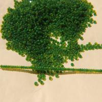 11/0 Charlotte Cut Beads Matt Yellow Green Lined 10/20/50/250/500 Grams PREMIUM SEED BEADS