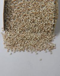 13/0 Charlotte Cut Beads Opaque Chalk White Golden Honey 10/20/50/250/500 Grams PREMIUM MATERIALS