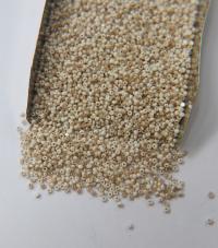 13/0 Charlotte Cut Beads Opaque Chalk White Golden Honey 10/20/50/250/500 Grams PREMIUM MATERIALS