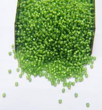 11/0 Charlotte Cut Beads in White Lining in transparent colors (23 Colors) 10/20/50/250/500 Grams PREMIUM SEED BEADS, native supply