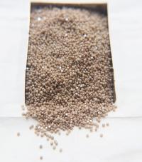 13/0 Charlotte Cut Beads Opaque Cream Dark Silk 10/20/50/250/500 Grams PREMIUM MATERIALS