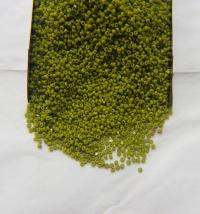 13/0 Charlotte Cut Beads 53430 Opaque Olivine 5/10/20/50/250/500 Grams craft supplies, jewelry making, embroidery materials, vintage beads