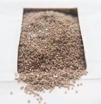 13/0 Charlotte Cut Beads Opaque Cream Dark Silk 10/20/50/250/500 Grams PREMIUM MATERIALS