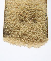 13/0 Charlotte Cut Beads Sand Opal 5/10/20/50/250/500 Grams PREMIUM SEED BEADS, Native Supply