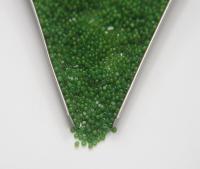 13/0 Charlotte True Cut Beads Fern Green Opal 5/10/20/50/250/500 Grams Premium Seed beads, native supply